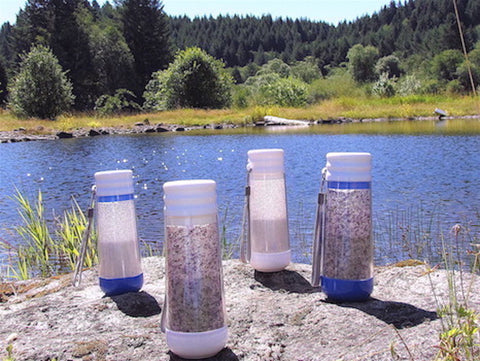 Bottle of Health™ Family 4 PACK: 2 "Blue Ray" 2 "White Ray" Clear and Amethyst Quartz