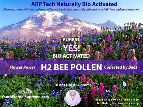 H2 Bee Pollen (Bio Activated, Hydrogen Ion Reinforced) 1lb (454 grams) 16oz