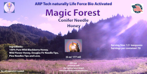 Magic Forest (Conifer Needle) Honey (6 oz/ 177 ml)
