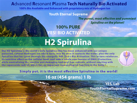 H2 Super Spirulina (Bio Activated, Hydrogen Ion Reinforced) 1lb (454 grams) 16 oz
