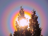 Dr. Light Consultation (1 hour)