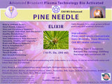 Pine Needle ELIXIR Liquid