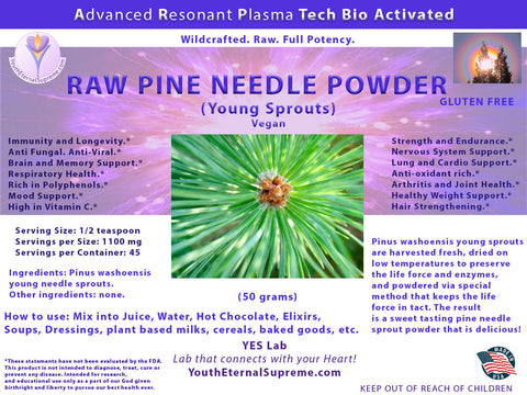 Raw Pine Needle Powder (Young Sprouts) 50 grams
